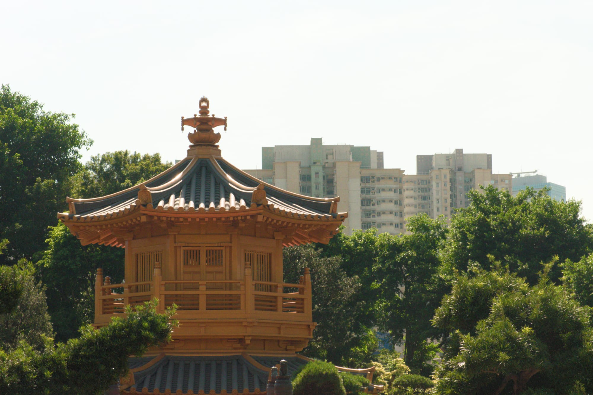 2024 - November in Hong Kong