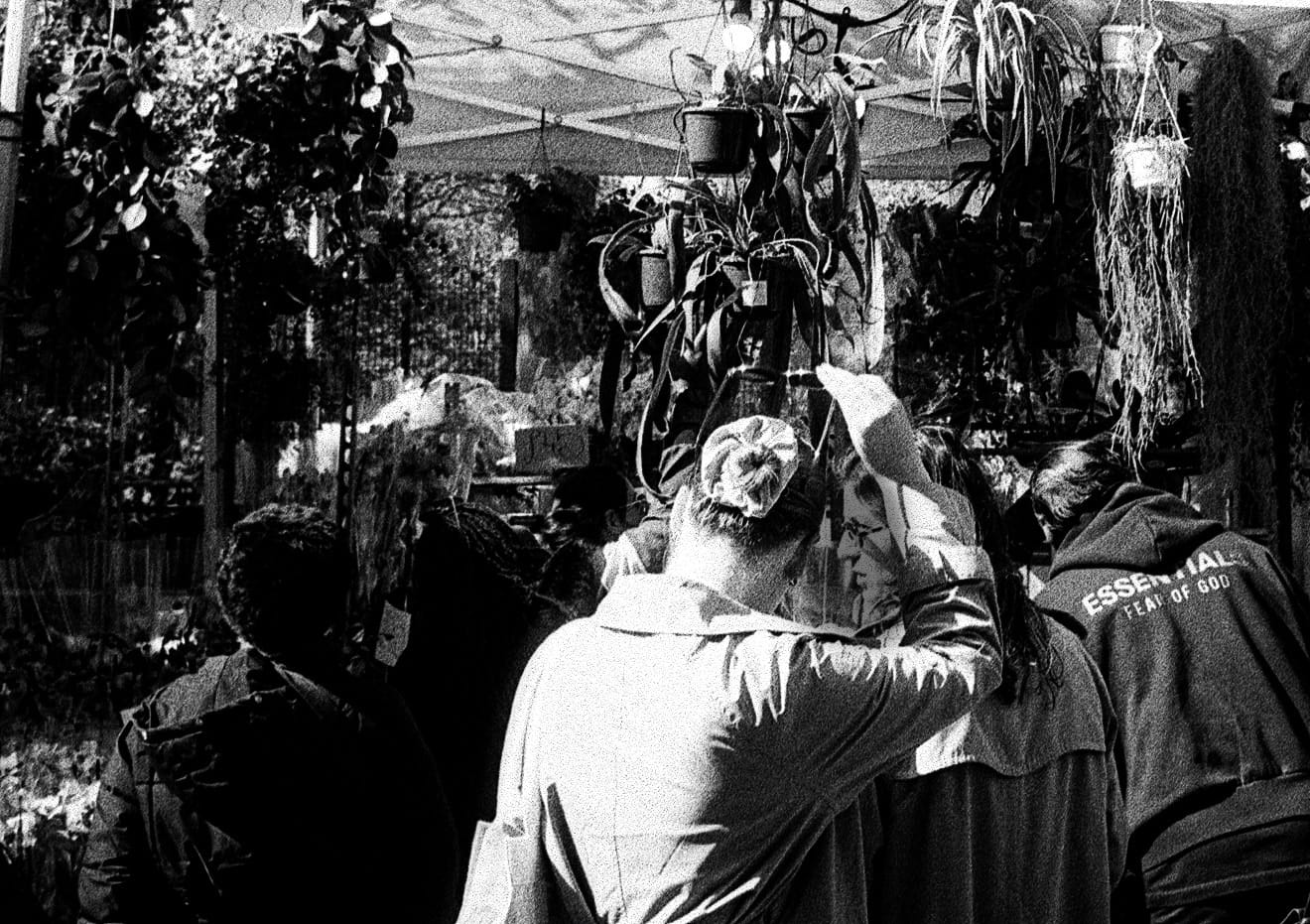 Flower Market